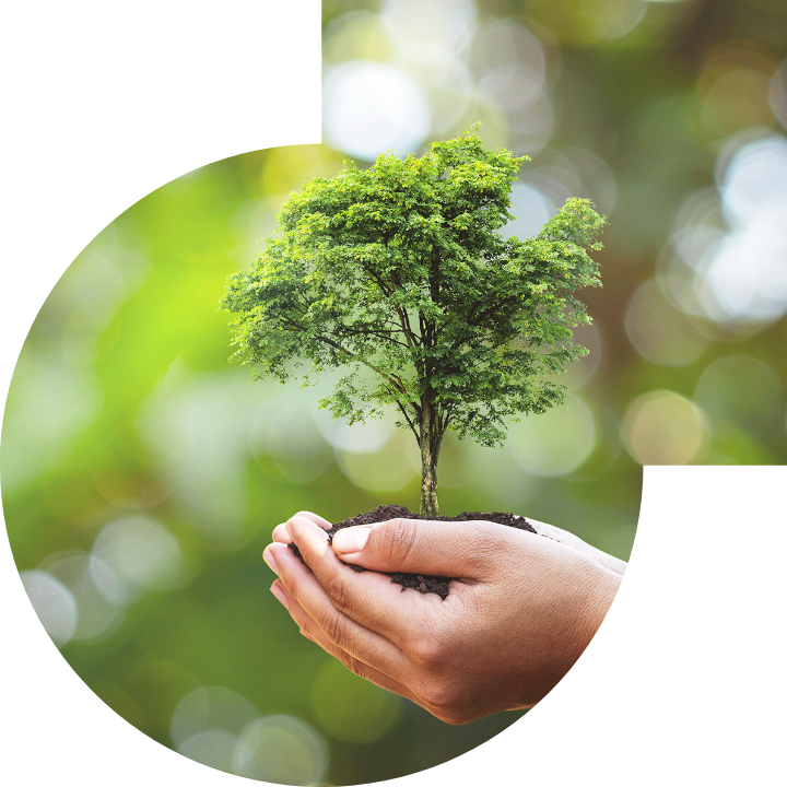 關懷人類、文化、環境與社會